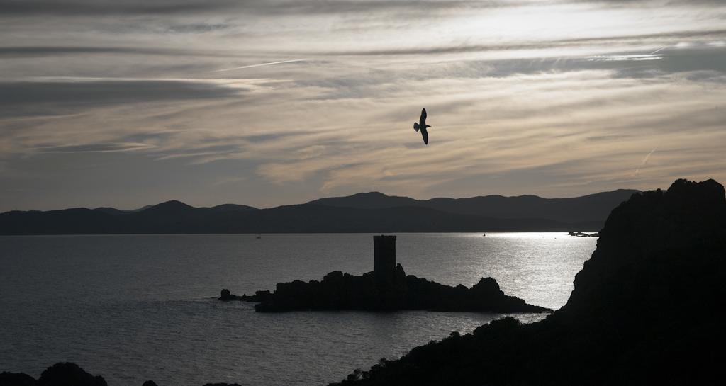 Cap Esterel Garden Flat Saint-Raphaël Dış mekan fotoğraf