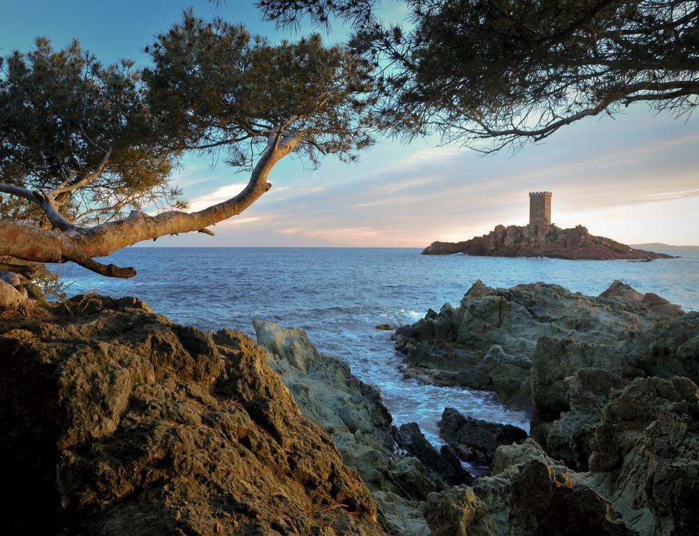 Cap Esterel Garden Flat Saint-Raphaël Dış mekan fotoğraf